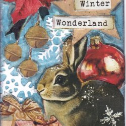 PCNY athon 09 Wonder rabbit.jpg