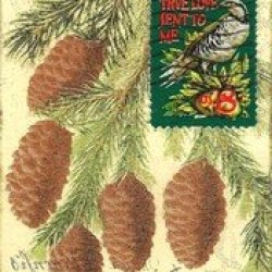 PCNY Partidge in Pine Tree