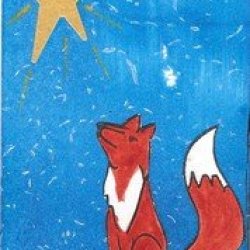 PCNY Stargazing Fox