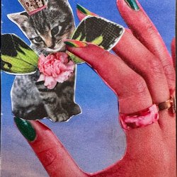 Kitty Fairy Grants a Wish