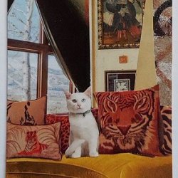 Traded THE INNER WILD