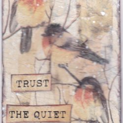 Birds Trust the Quiet.jpg