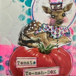 Tomato Doe