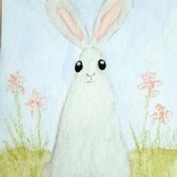 Color Cube 836 bunny
