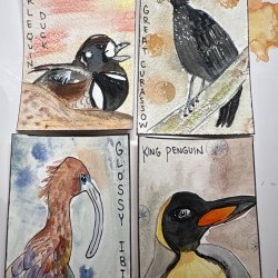 Birds in the Wilderness Swap