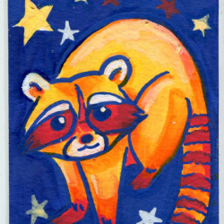 Racoon