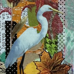 Autumn Egret_2026.JPG