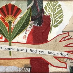 I Find You Fascinating_2026.JPG