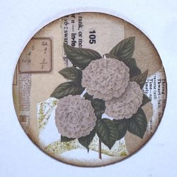 Vintage Botanical #4_2026.JPG