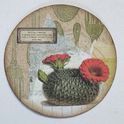 Vintage Botanical #10_2026.JPG