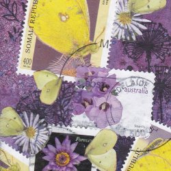 yellow butterflies on purple.jpg