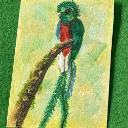 QUETZAL