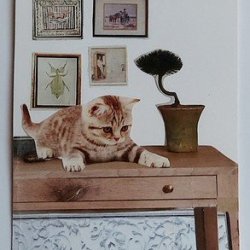 EVERYTHING HERE IS MINE (Traded)