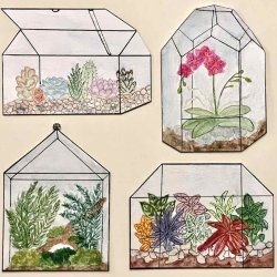 Terrariums for Houseplants (a House-shaped ATC Swap) by TSMarie