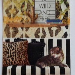 WILD AND FREE (Traded)