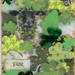 SP athon 03 sheep in shamrocks.jpg