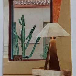 CACTI VIEW ( Traded)