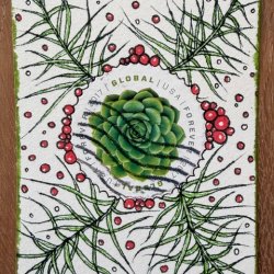 Traded IMG_2907.jpeg