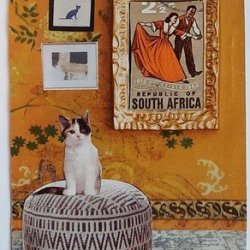 SAFFA'S ROOM (Traded)