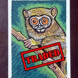 Tarsius_Tarsier_small.jpg