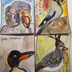 Birds in the Wilderness Swap