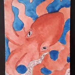 Octopus