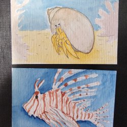 Ermit crab & lion fish