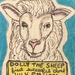 Dolly the Sheep