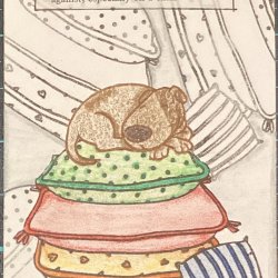 New dictionary words - ABC 4/4