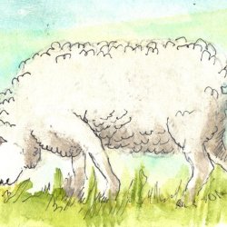 EAthon 1 A Little Bit of Wool