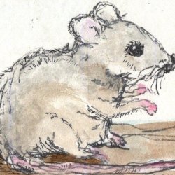 EAthon 2 A Little Mouse Told Me