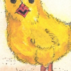 EAthon 3 Cheep Cheep