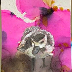 Duckling.jpeg
