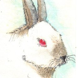 EAthon 8 White Rabbit