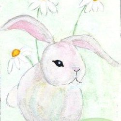 Bunny with daisies
