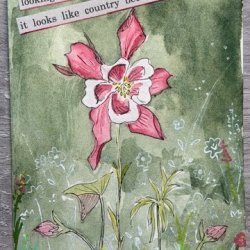 Spring found poetry (PIF)