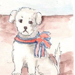 Tenth Color Cube Swap - Patriotic Pup