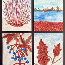 Cape Cod Native Plants for 10th Color Cube Swap hosted by Jo