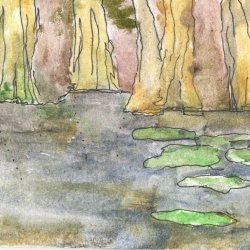 Everglades National Park