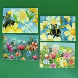 IMG_1930 Medium.jpeg