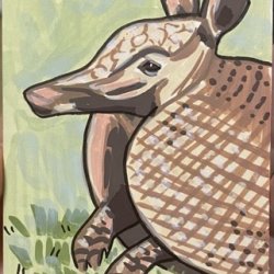 A is for Armadillo.jpeg