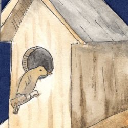 Animal House - Bird House