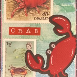 Animal parade - ABC 4/4