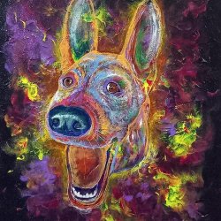 Media 'Sparkling Dogi.jpg' in album 'Yere Agusto's Gallery'