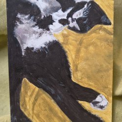 Media 'Cat' in album 'Available for trade'