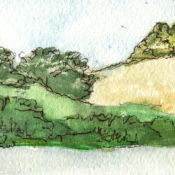Hilly landscape 4