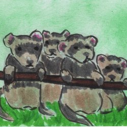 ATC 0119 The Business