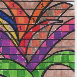 ATC 0124 Bird of Paradise.jpg