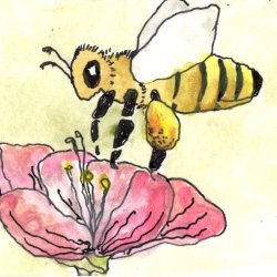 Save the Bees - Bee 1