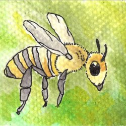 Save the Bees - Bee 2